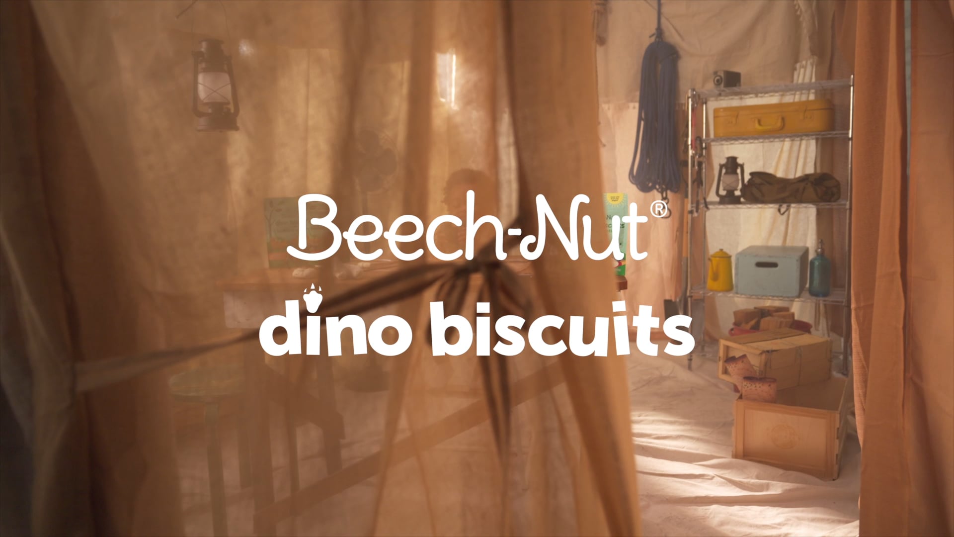 Dino Biscuits Campaign